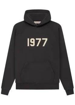 Essentials 1977 Hoodie Iron