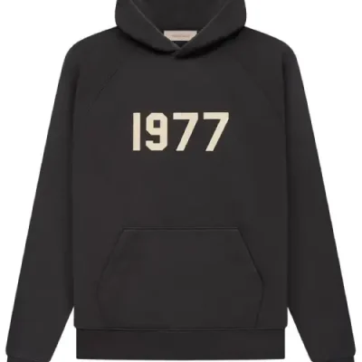 Essentials 1977 Hoodie Iron